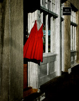 The Red Dress