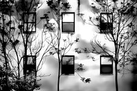 Black and White