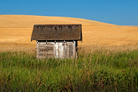 Afield WA