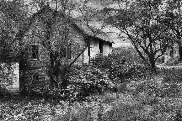 Woodland Barn