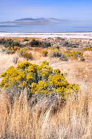 Antelope Island, Great Salt Lake