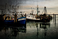 The Fleet
