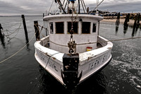 The Terri Sue