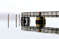 Christmas Dock