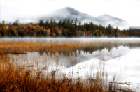 Autumn Morn