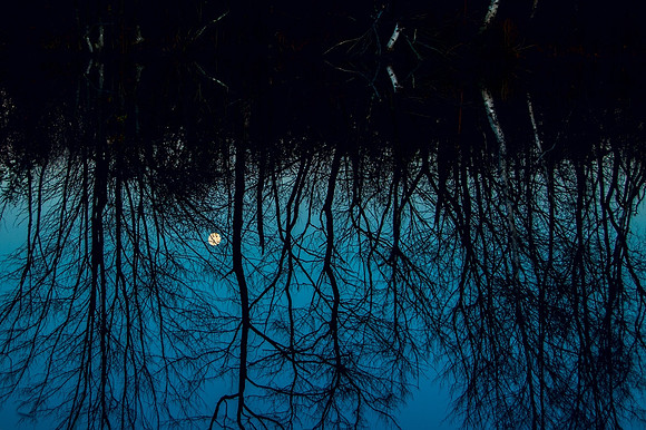 Night's Reflection