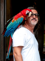 Polly want a cracker