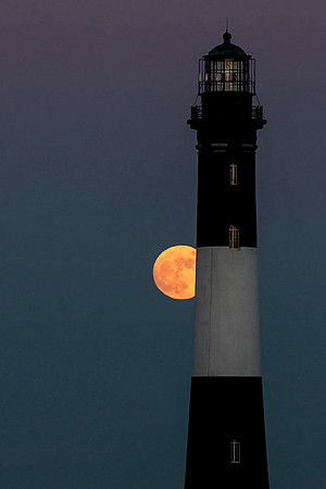 Harvest Moon